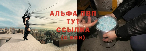 гашик Абинск