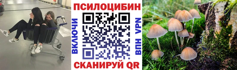Галлюциногенные грибы GOLDEN TEACHER  сколько стоит  Яранск 